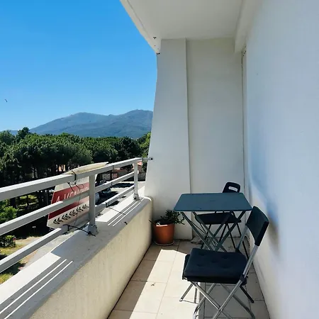 公寓 T2 - Balcon Proche - 4 Pers - Fr-1-309-513 滨海阿热莱斯